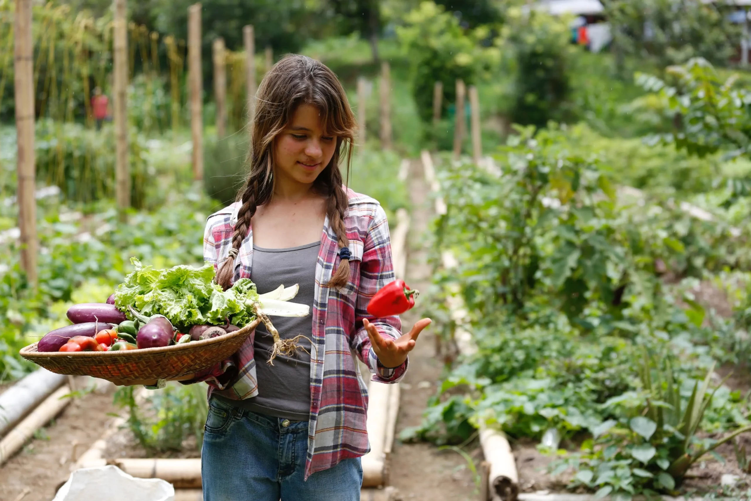 photo of woman examining pepper on a farm